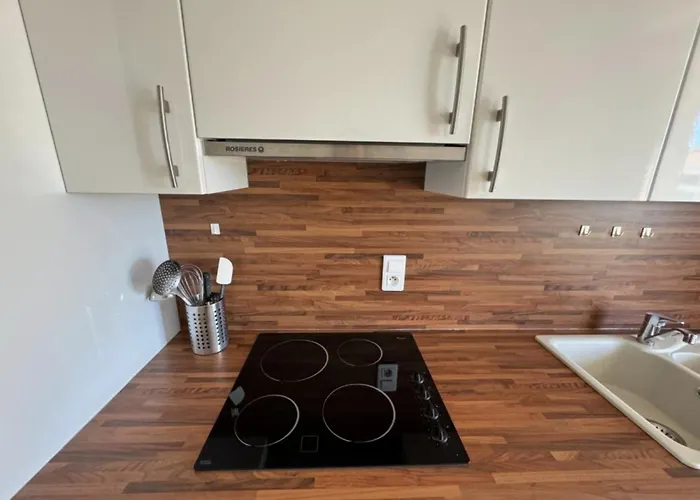 Cozy One Bedroom With Balcony And Parking Daire *